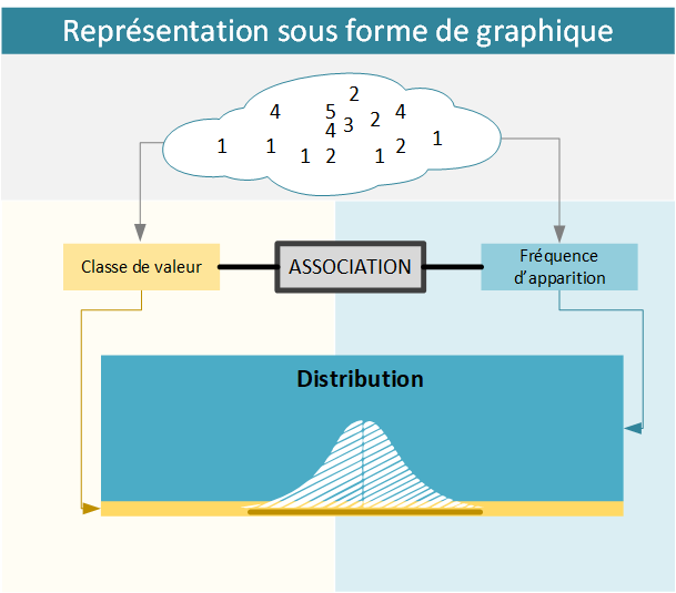 Les distributions statistiques - représentation graphique
