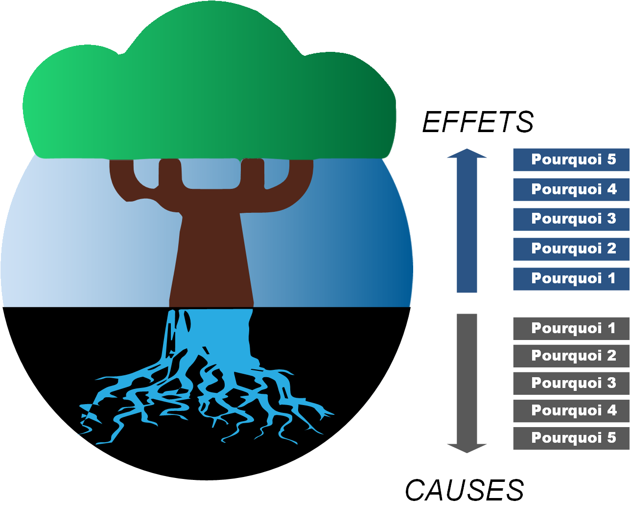 Les 5 pourquoi, arbre, racine, avec causes et effet